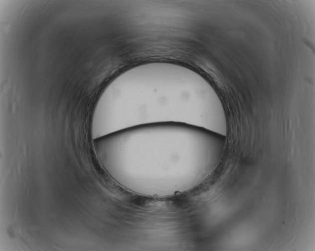 X0000097860499200803140859