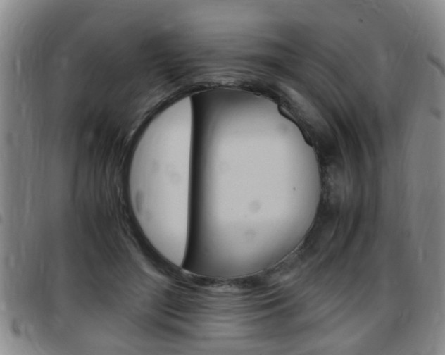 X0000097860500200803140859