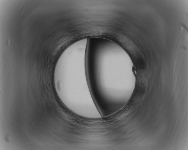 X0000097860501200803140859