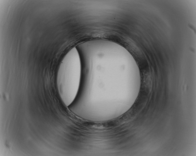 X0000097860502200803140859