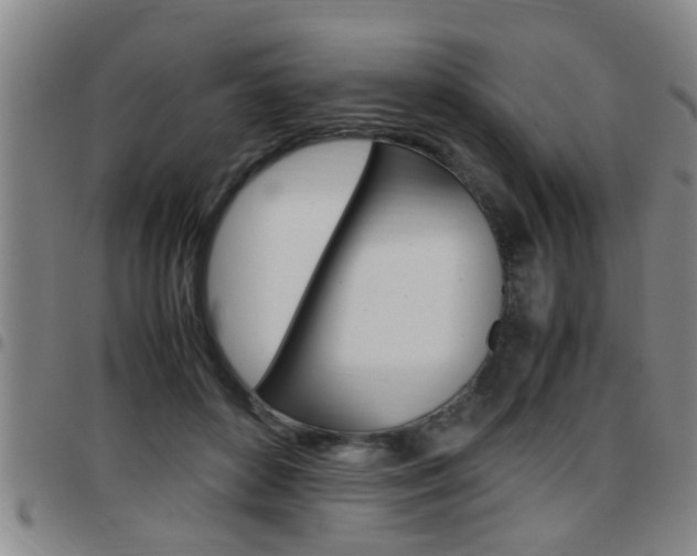 X0000097860504200803140859