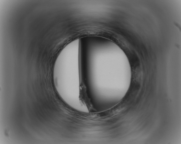 X0000097860505200803140859