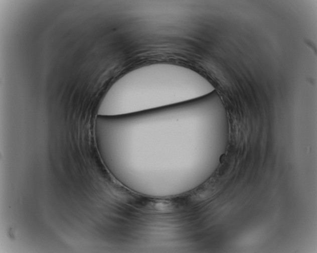 X0000097860506200803140859