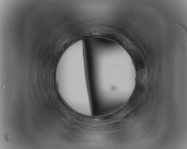 X0000097860509200803140859