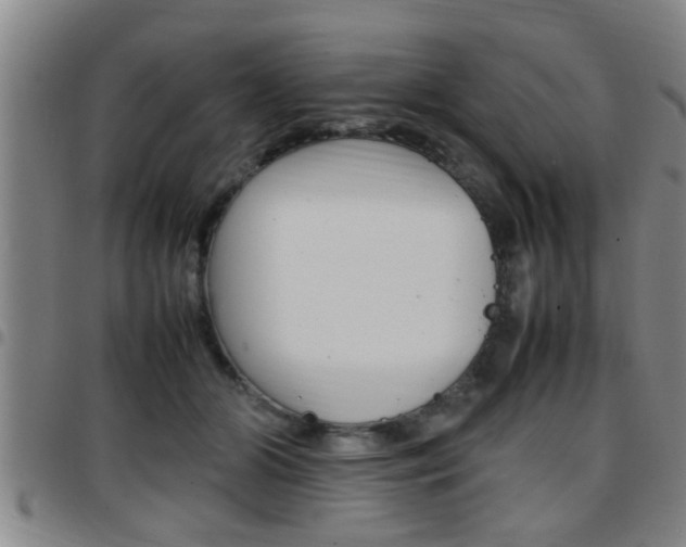 X0000097860510200803140859