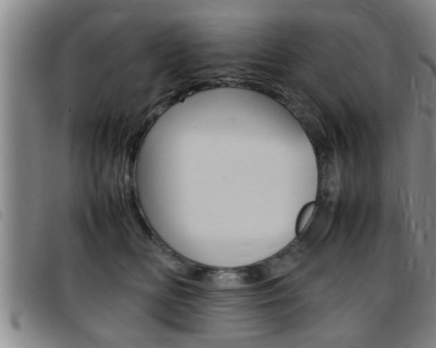 X0000097860518200803140859