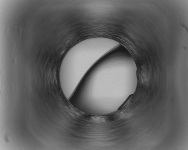 X0000097860520200803140859