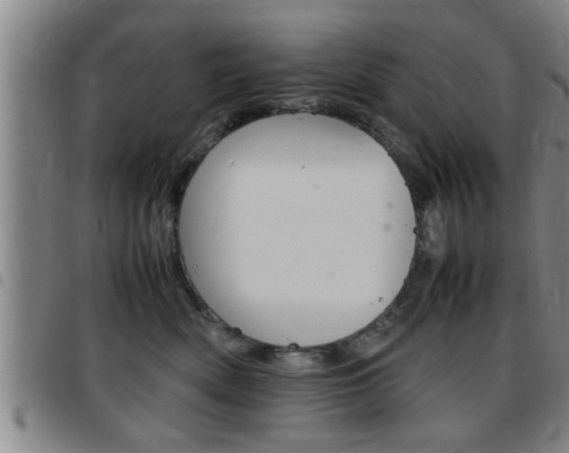 X0000097860522200803140859