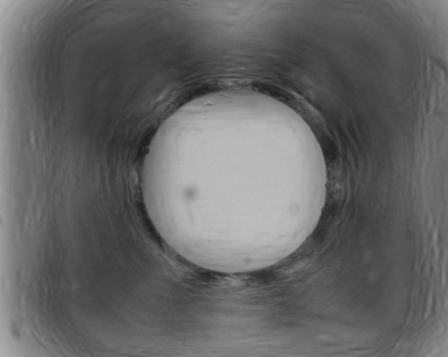 X0000097860523200803140859
