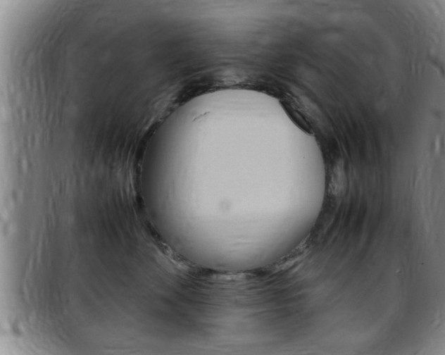 X0000097860524200803140859