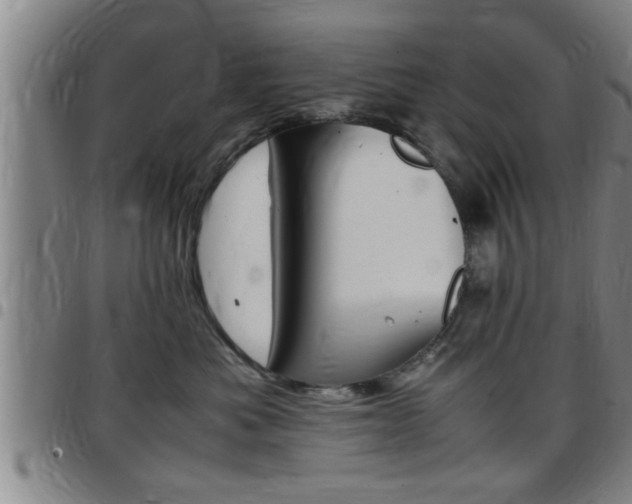 X0000097860525200803140859