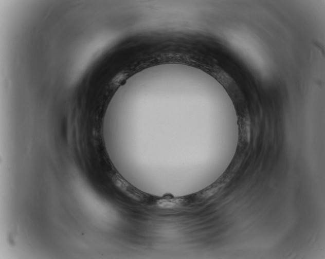 X0000097860526200803140859