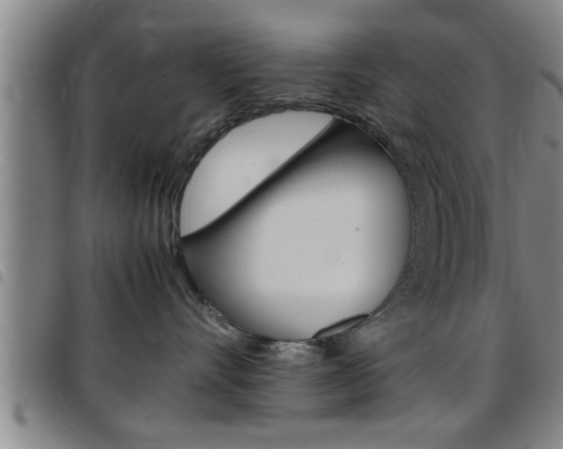 X0000097860528200803140859