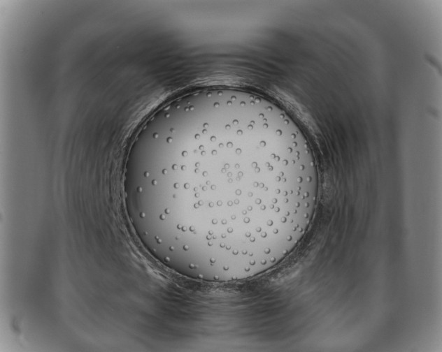 X0000097860529200803140858