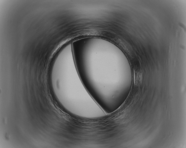 X0000097860531200803140858