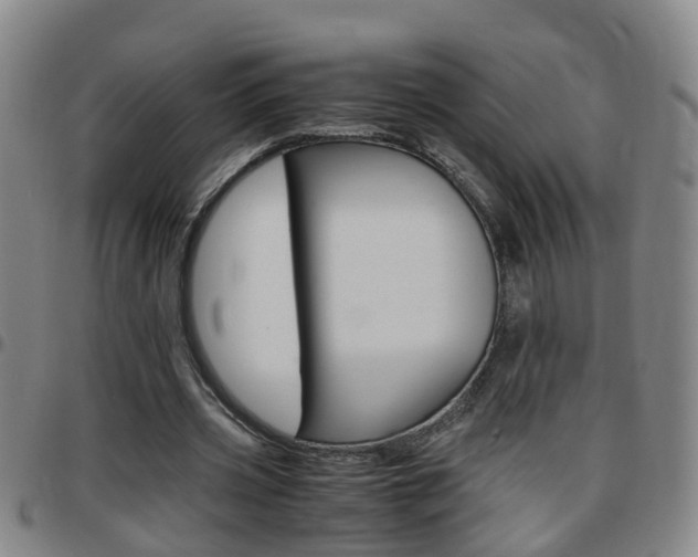 X0000097860533200803140858