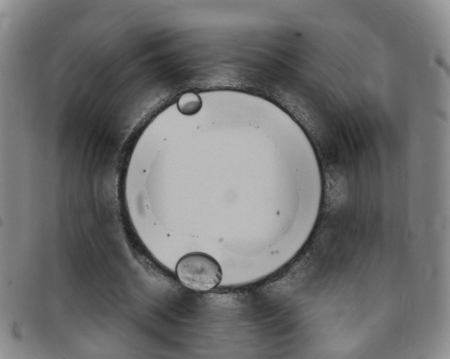 X0000097860534200803140858