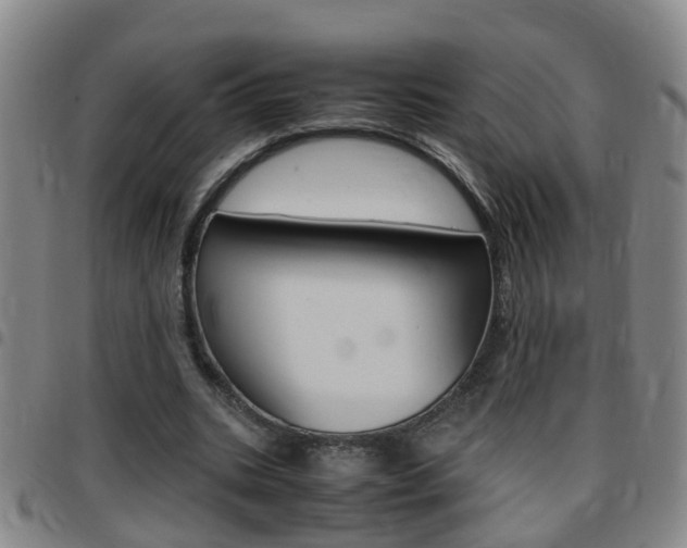 X0000097860535200803140858