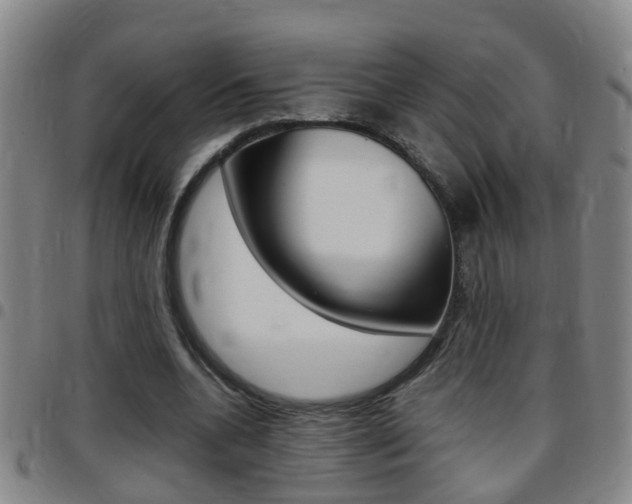 X0000097860536200803140858
