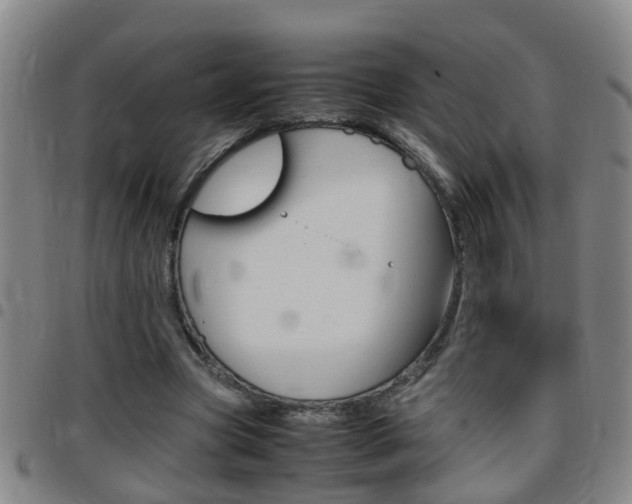 X0000097860537200803140858