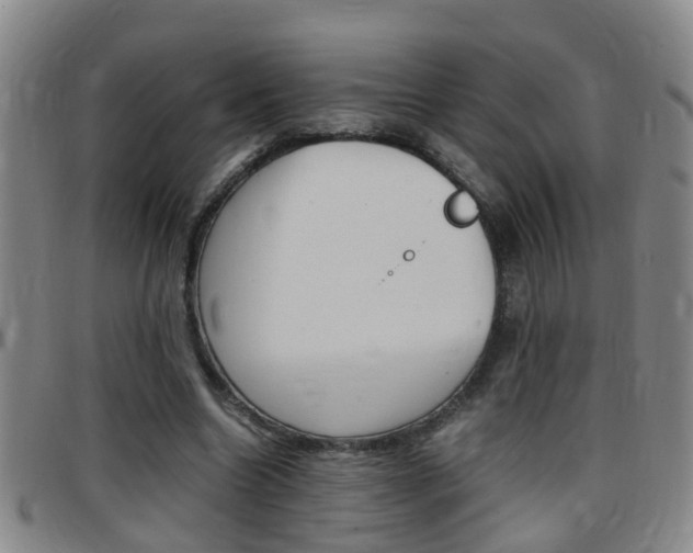 X0000097860538200803140858