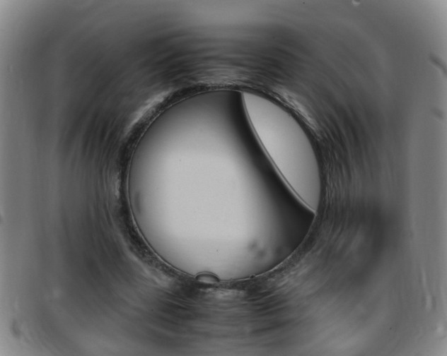 X0000097860539200803140858