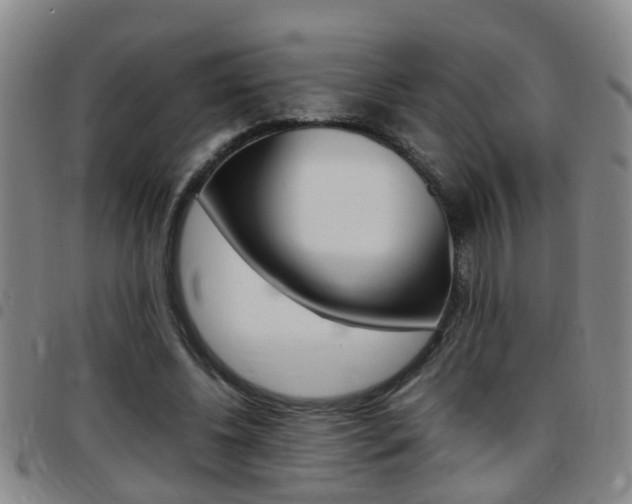 X0000097860540200803140858