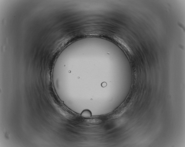 X0000097860541200803140858