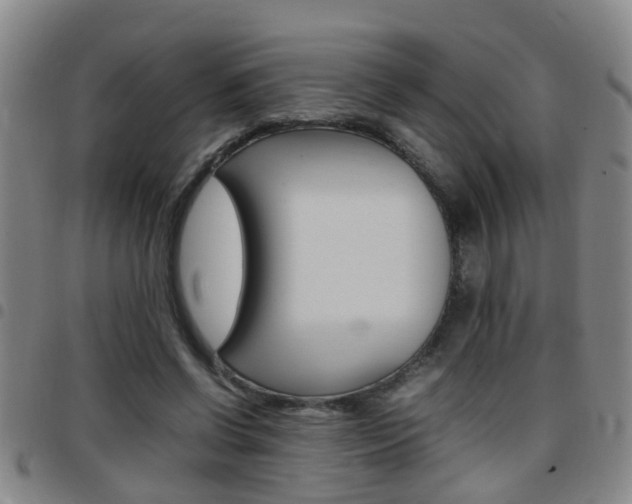X0000097860542200803140858