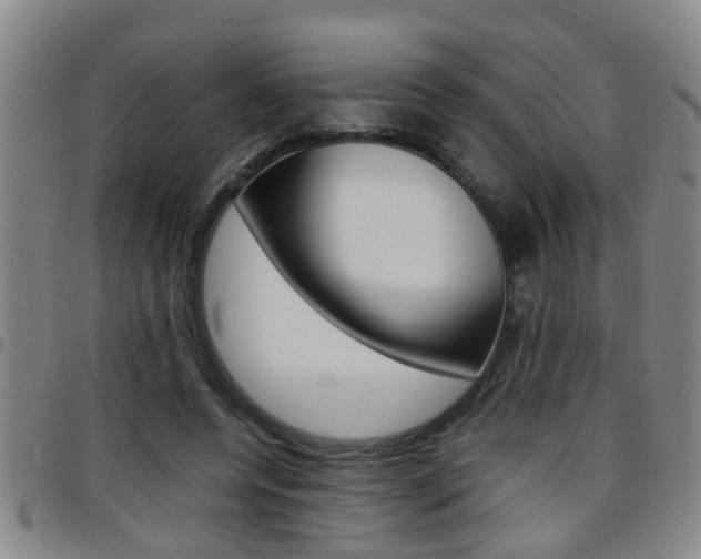 X0000097860544200803140858