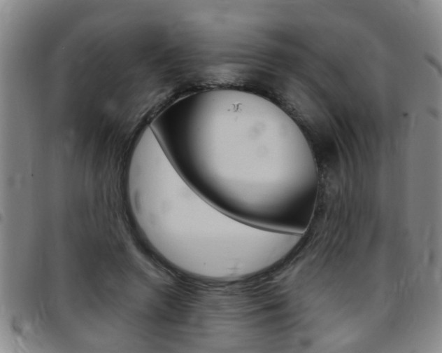 X0000097860546200803140858