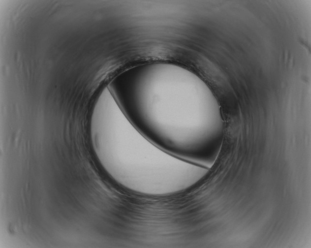 X0000097860548200803140858