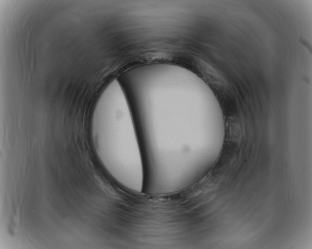 X0000097860550200803140858
