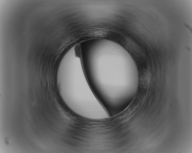 X0000097860552200803140858