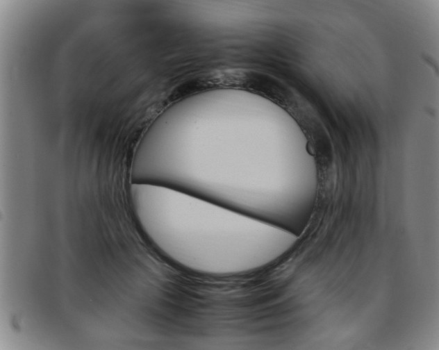 X0000097860553200803140859