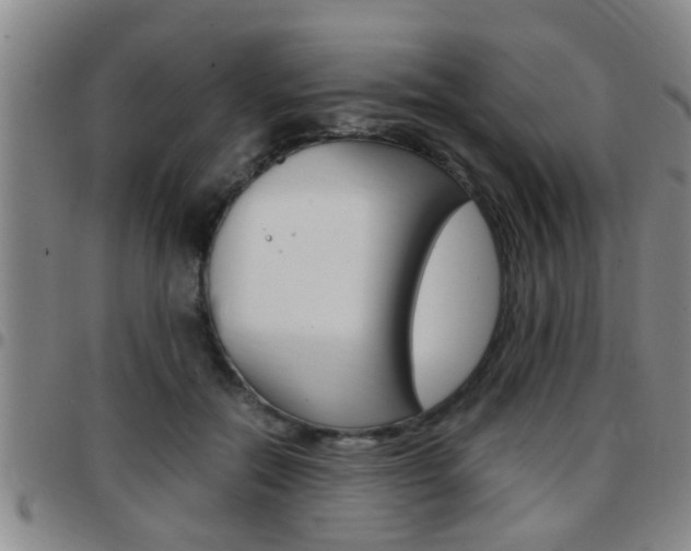 X0000097860554200803140859