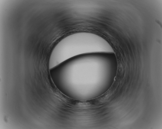 X0000097860556200803140859