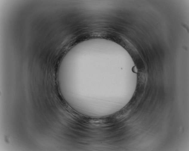 X0000097860557200803140859