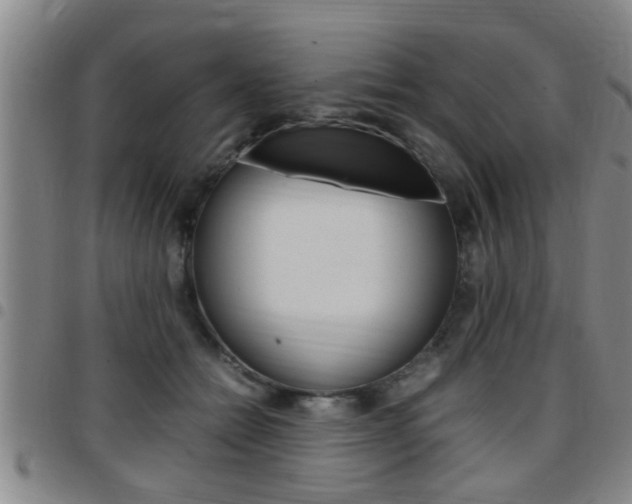X0000097860558200803140859