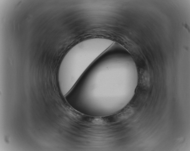 X0000097860562200803140859