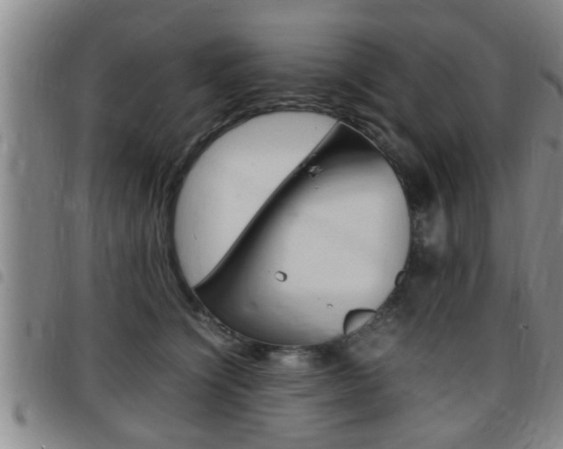 X0000097860564200803140859
