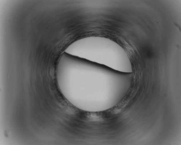 X0000097860565200803140859