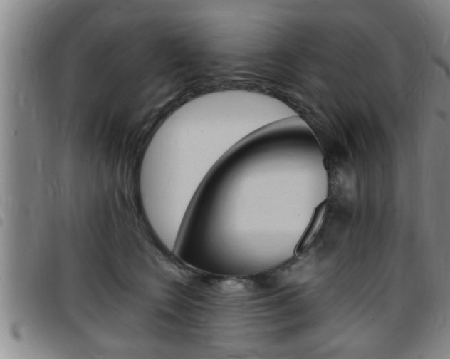 X0000097860566200803140859
