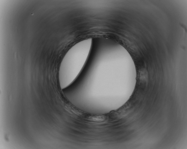 X0000097860567200803140859