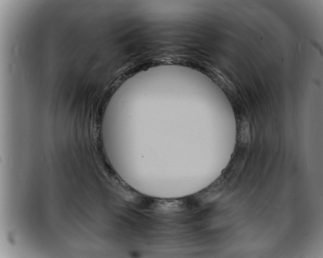 X0000097860569200803140859