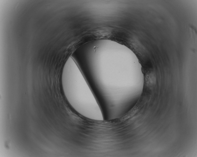 X0000097860570200803140859