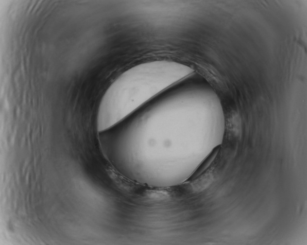 X0000097860572200803140859