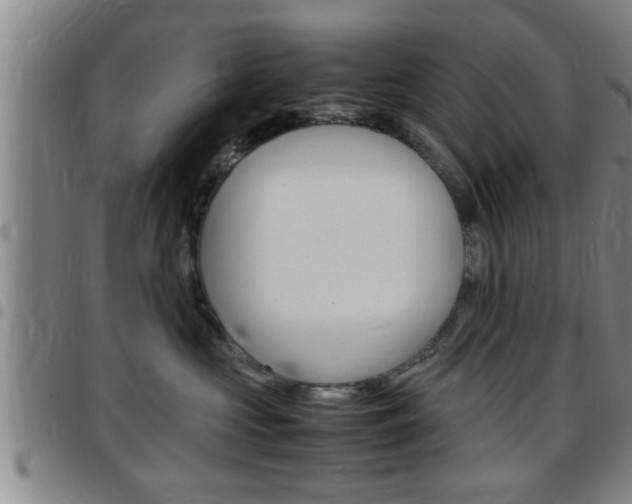 X0000097860573200803140859