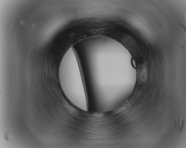 X0000097860574200803140859