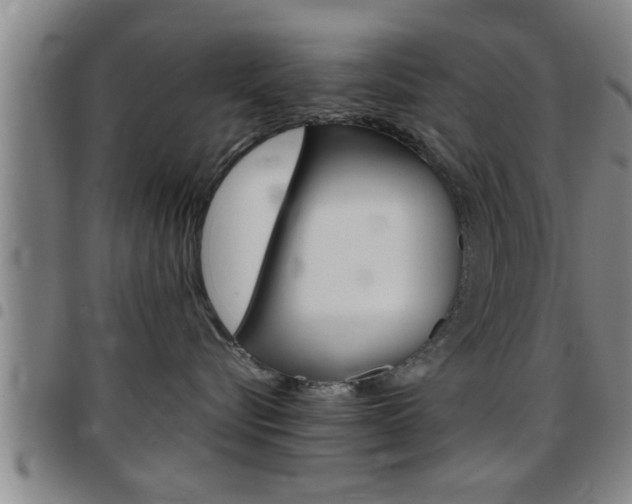 X0000097860576200803140859
